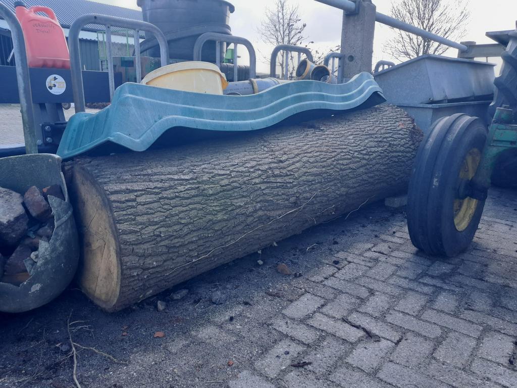 Eiken stam stamhout, Minder dan 3 m³, Ophalen, Eikenhout, Stammen