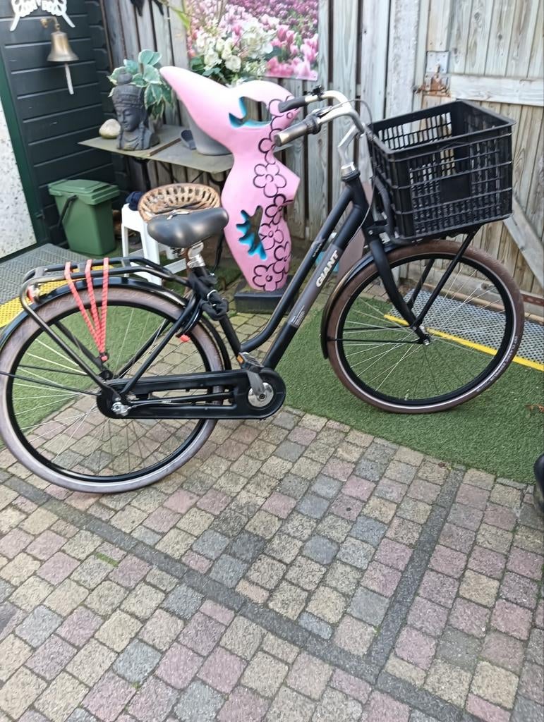 Giant triple zgan 175,00 euro, Fietsen en Brommers, Fietsen | Dames | Damesfietsen, Ophalen, Versnellingen, Giant, Zo goed als nieuw