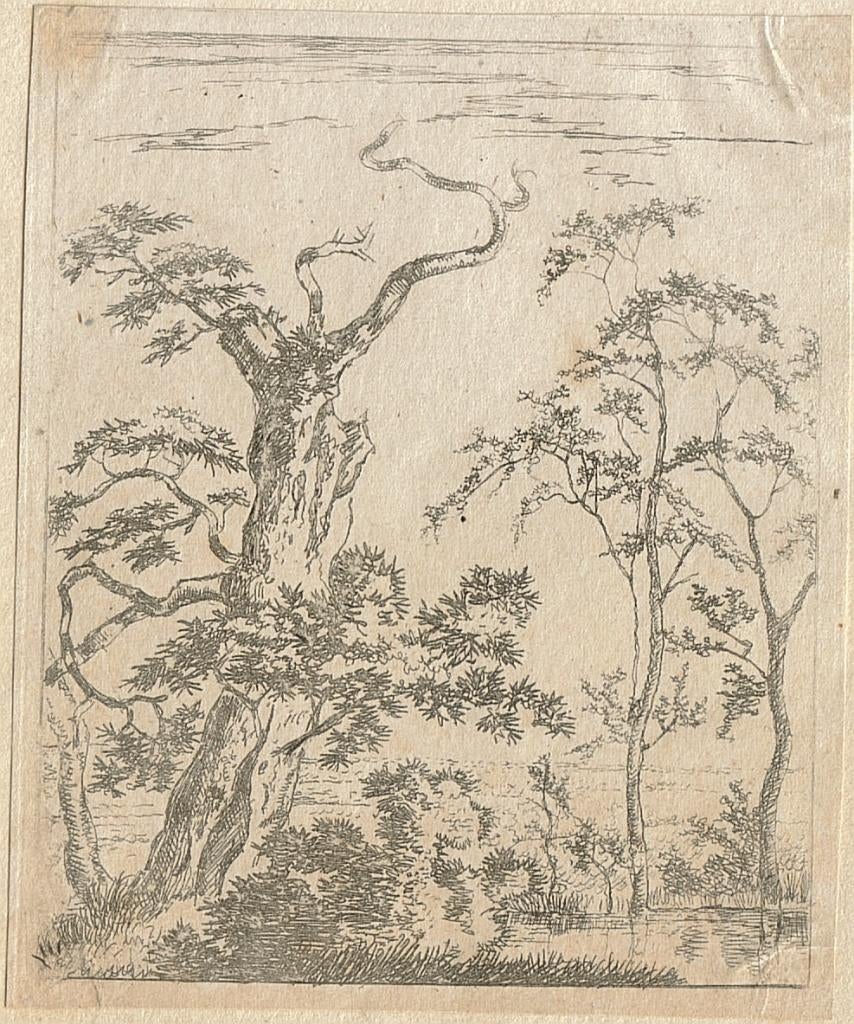 Evert Rahms naar H. Rijkelijkhuysen ets "Bomen in Landschap", Antiek en Kunst, Ophalen