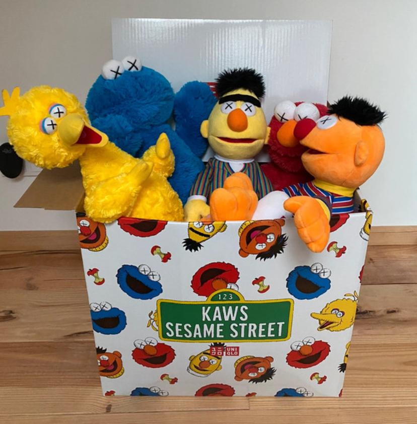 Sesame Street x KAWS, Ophalen of Verzenden
