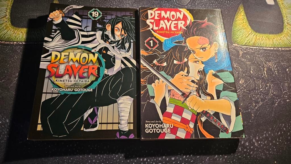 Demon slayer boeken deel 1 en 19, Boeken, Gelezen, Ophalen of Verzenden, Japan (Manga), Meerdere comics