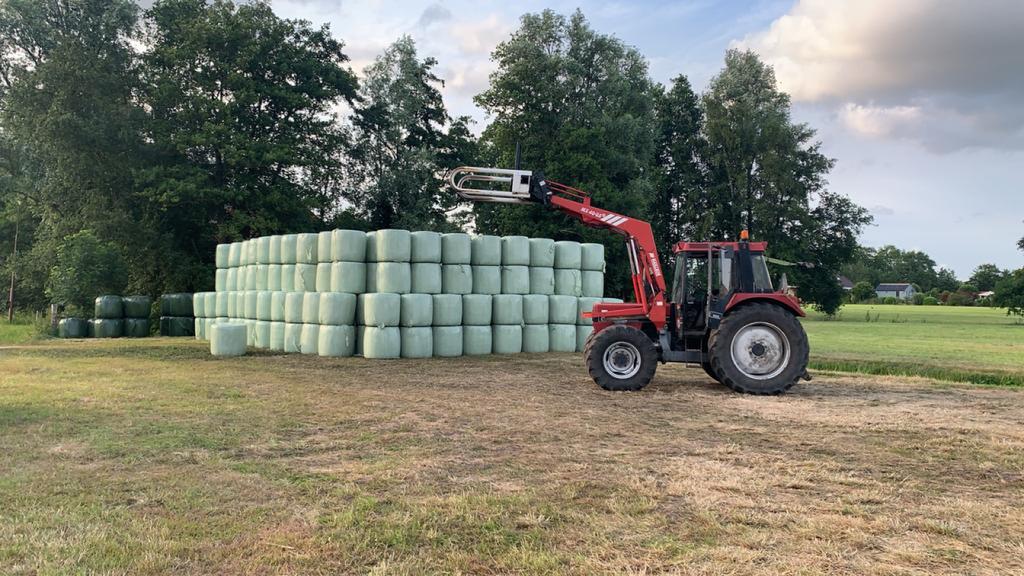 Voordrooghooi, hooi, midibalen, balen, paardenhooi, Zakelijke goederen, Agrarisch | Veevoer, Ophalen of Verzenden