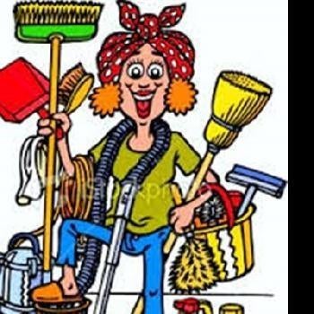 Ervaren schoonmaakhulp aangeboden!, Overige uren, Vanaf 10 jaar, Overige vormen