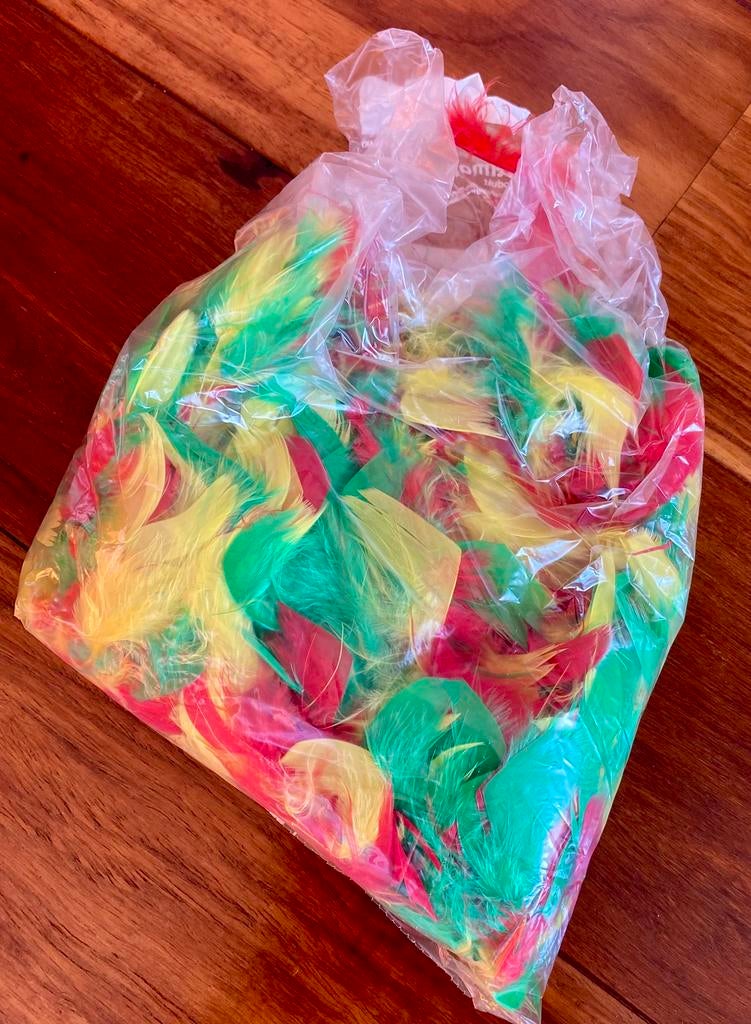 Boa ️  💚💛❤️, Ophalen of Verzenden, Zo goed als nieuw, Carnaval