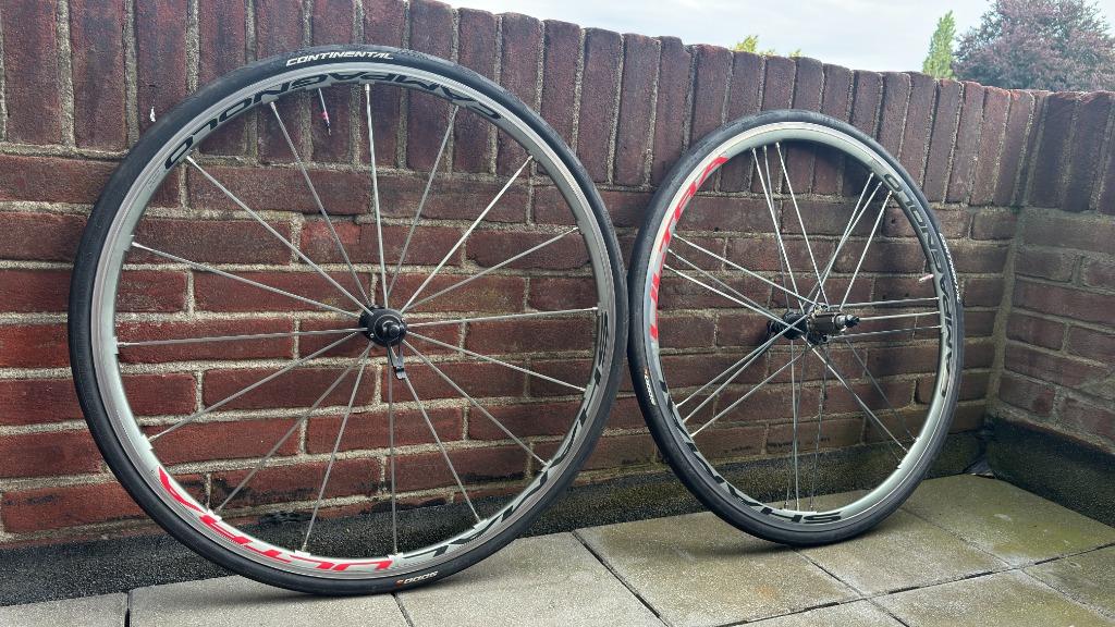 Campagnolo Shamal wheels (Campa racefiets wielen), Fietsen en Brommers, Fietsonderdelen, Gebruikt, Wiel, Ophalen of Verzenden
