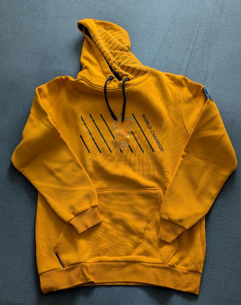 Max Verstappen trui maat M, Ophalen of Verzenden, Zo goed als nieuw, Formule 1