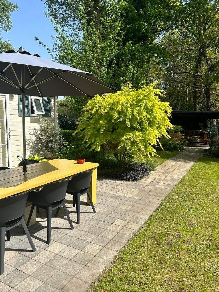 Vakantie huisje Koolwitje te huur in Lochem, Vakantie, Vakantiehuizen | Nederland, 3 slaapkamers, Tuin