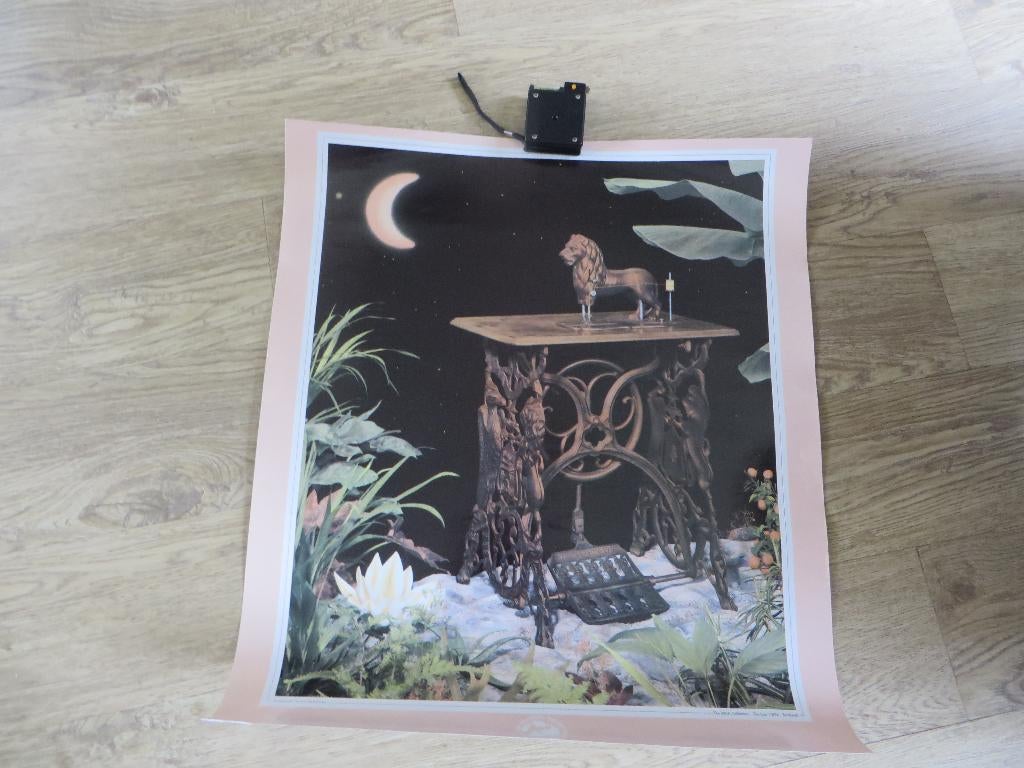 Vintage The Lion naaimachine 1876 Poster Foto Jan Bartelsman, Verzamelen, Merken en Reclamevoorwerpen, Zo goed als nieuw, Reclamebord