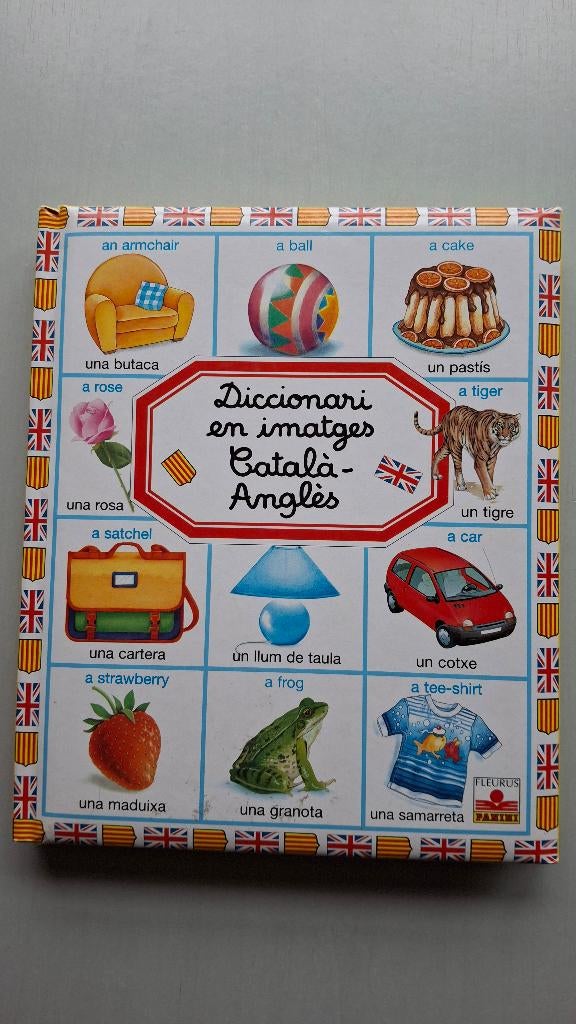 Beeldwoordenboek Spaans-Engels voor kinderen., Boeken, Spaans, Overige uitgevers, Ophalen of Verzenden, Zo goed als nieuw