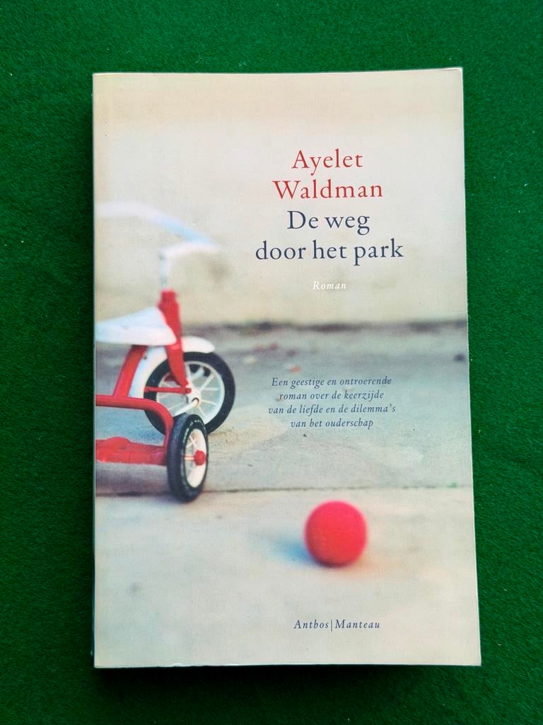 De weg door het park - Ayelet Waldman (Roman), Ophalen of Verzenden, Gelezen, Nederland