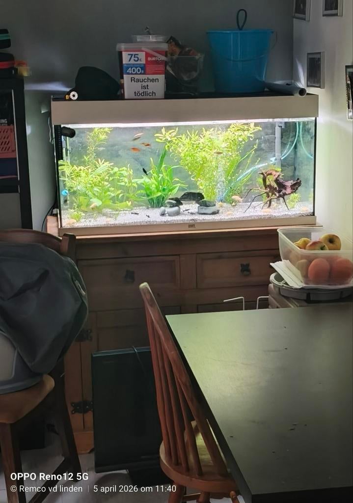 Juwel 180litr, Ophalen, Gebruikt, Gevuld zoetwateraquarium, Juwel