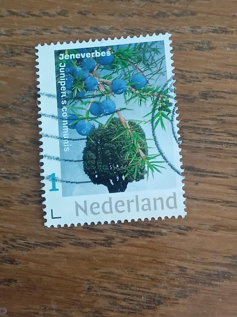 Persoonlijke postzegel uit Nederland, Postzegels en Munten, Postzegels | Nederland, Ophalen of Verzenden