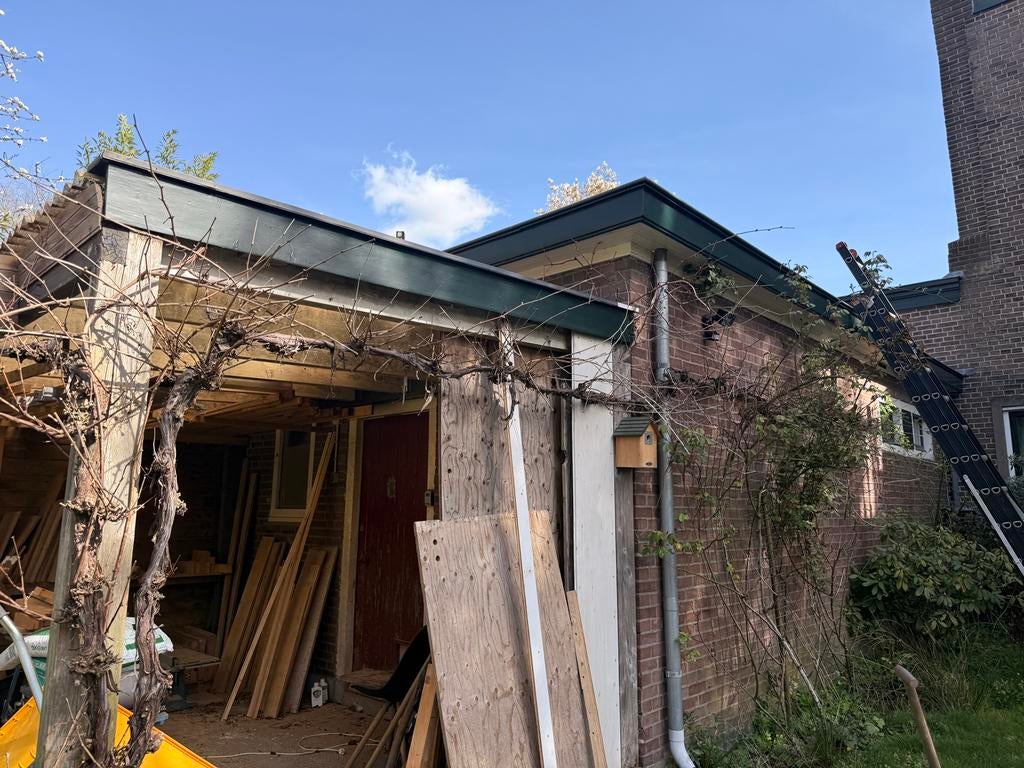 Druif - 10 meter, Ophalen, Volle zon, Vaste plant, Bloeit niet