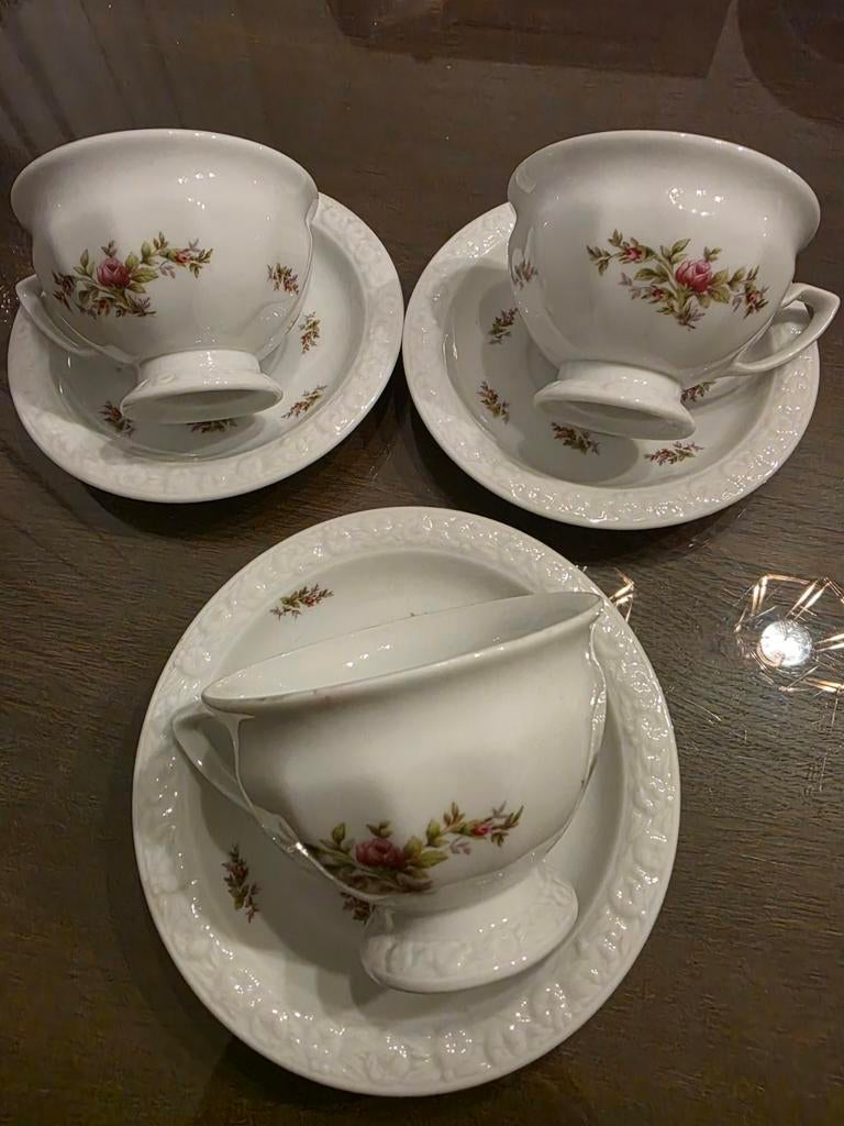 Rosenthal kop en schotels, Ophalen of Verzenden