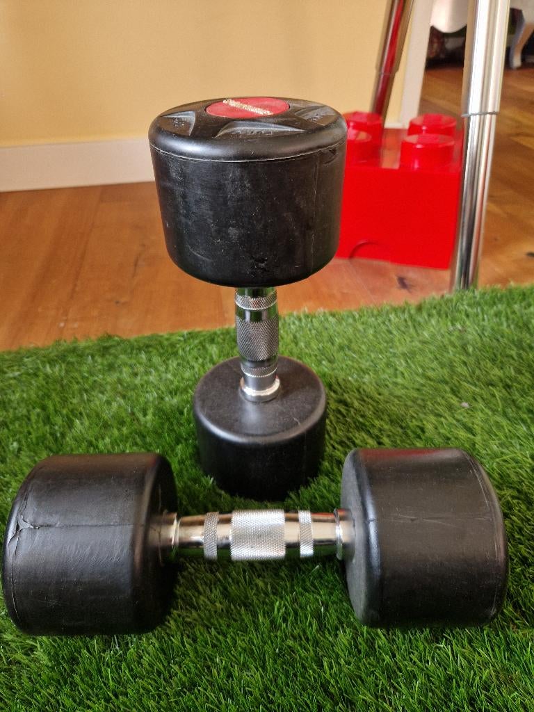 Dumbells, Sport en Fitness, Fitnessmaterialen, Ophalen of Verzenden, Zo goed als nieuw, Rug, Dumbbell