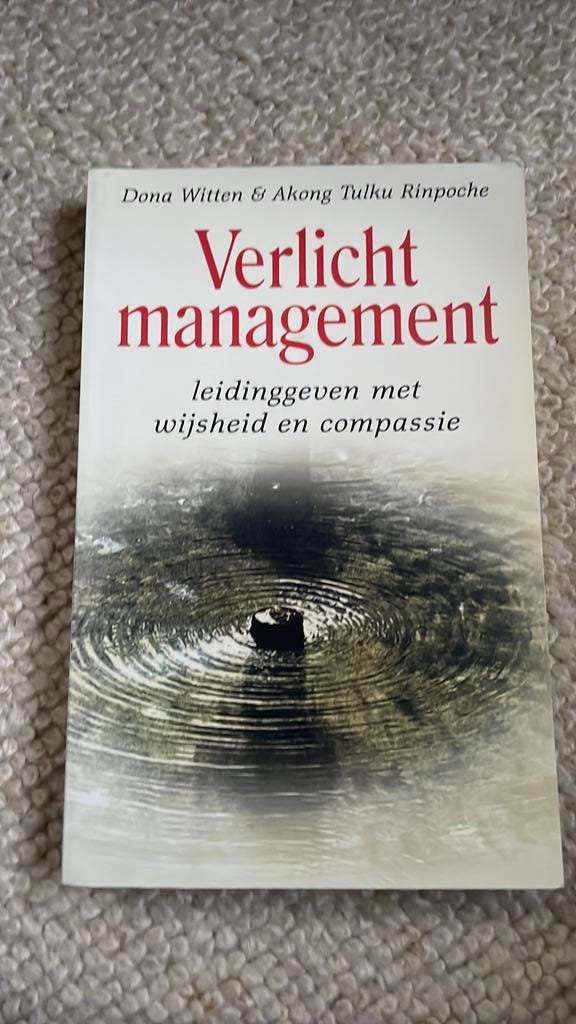 D. Witten - Verlicht management, D. Witten; A. Tulku, Ophalen of Verzenden, Management, Zo goed als nieuw