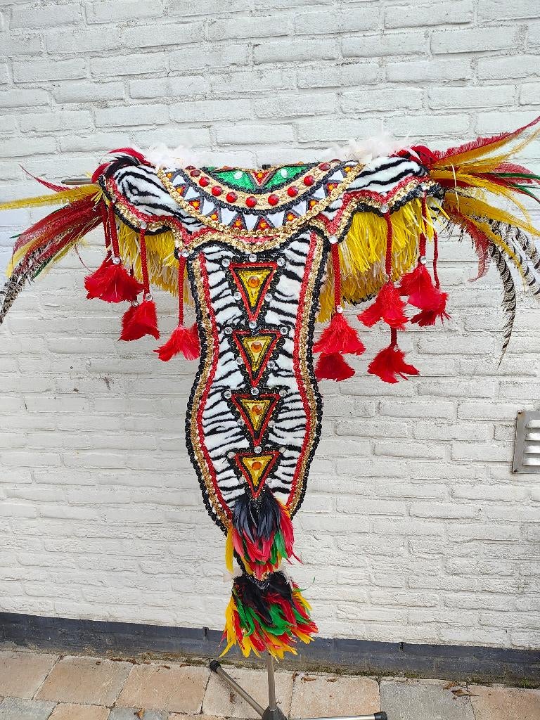 Kostuum carnaval (tropical) uit Brazilië, Ophalen, Carnaval, Overige maten, Kleding