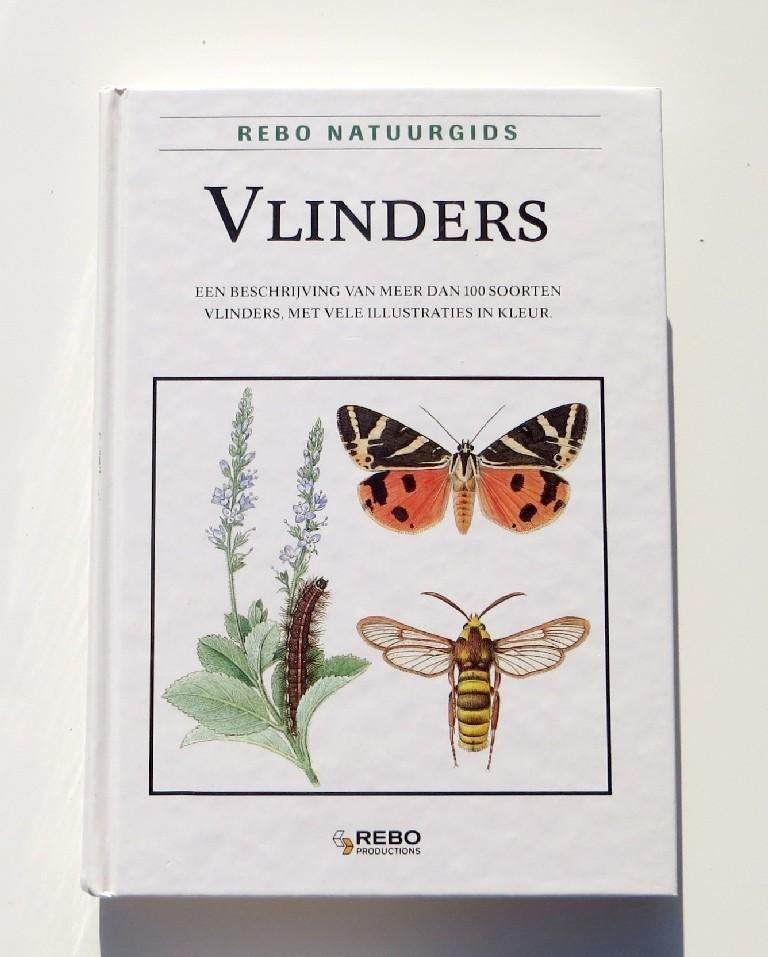 Naslagwerk M5154: Rebo Natuurgids - Vlinders, Boeken, Ivo Novak, Ophalen of Verzenden, Zo goed als nieuw, Natuur algemeen