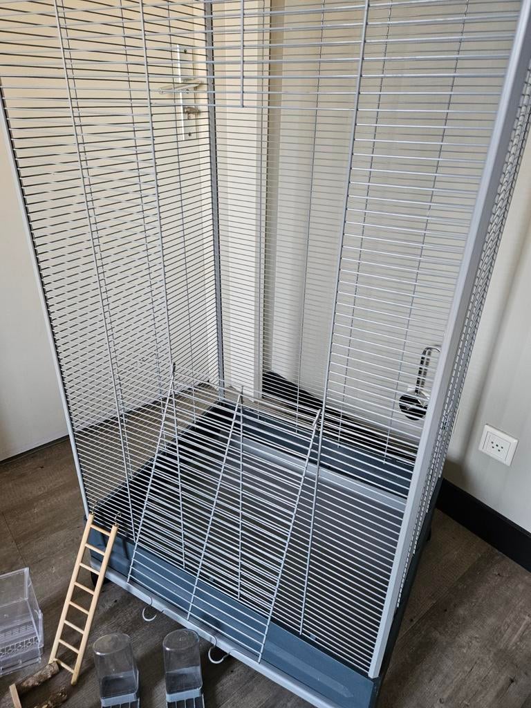 Kamer volière, Meerdere dieren, Parkiet