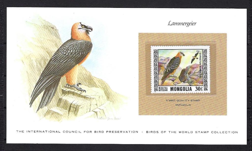 VOGELS kaart Mongolia Lammergeier (zegel XX), Postzegels en Munten, Postzegels | Thematische zegels, Ophalen of Verzenden, Postfris