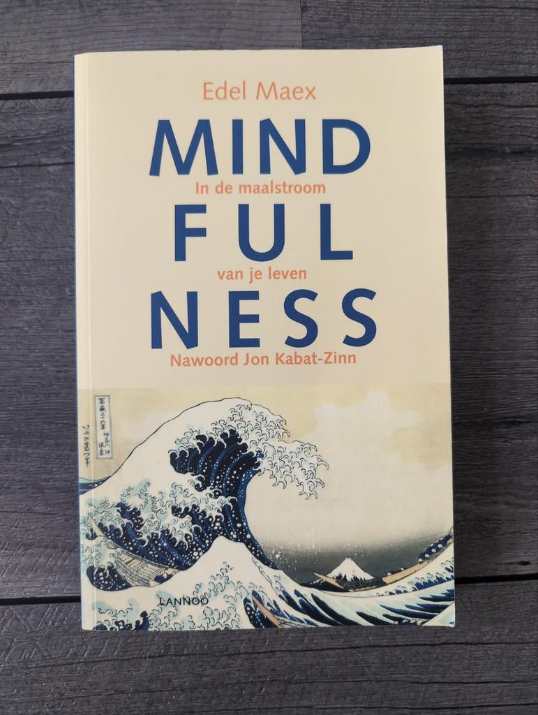 Mindfulness in de maalstroom van je leven - Edel Maex, Ophalen of Verzenden, Gelezen, Meditatie of Yoga, Instructieboek
