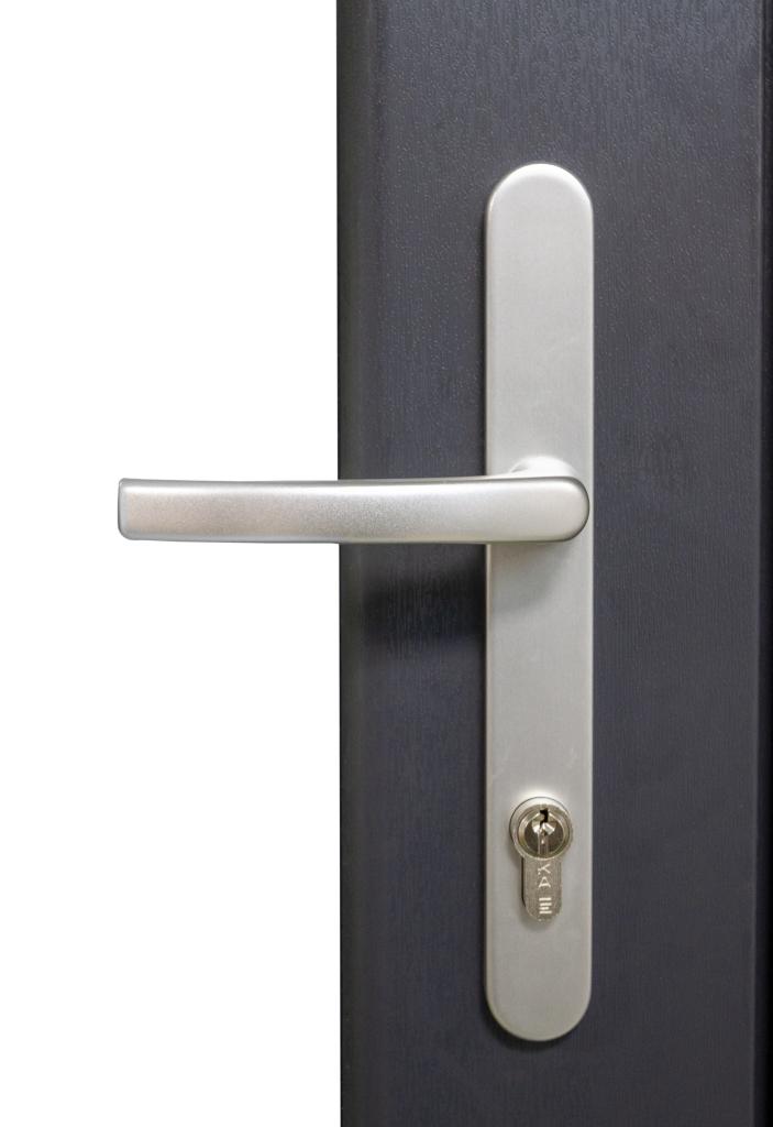 Kunststof Buitendeur Volglas L B98 H215cm Antraciet, Niet ingevuld, Kunststof, 80 tot 100 cm, 215 cm of meer