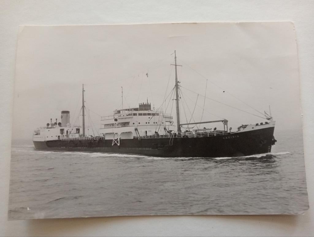 Fotograaf W.Haig.Parry Middlesbrough jaren 40-60, Gebruikt, ., Kaart, Foto of Prent, Ophalen of Verzenden