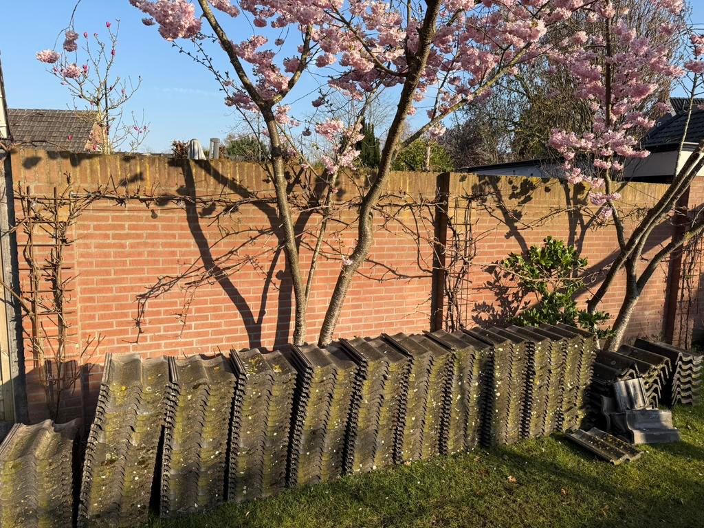 Dakpannen te koop - ca. 28m2, Ophalen, Gebruikt, Steen of Klei, 15 m² of meer