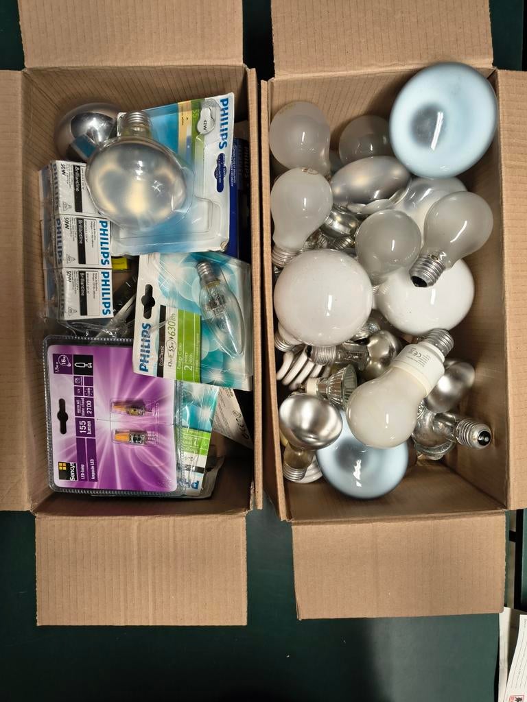Grote partij diverse gloeilampen en LED-lampen, Ophalen, Gebruikt