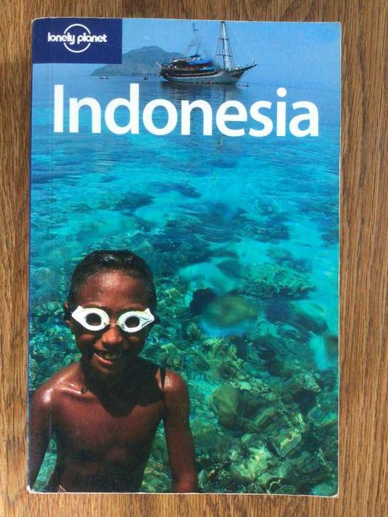 Lonely Planet Indonesia Engelstalig in goede staat KOOPJE, Boeken, Reisgidsen, Lonely Planet, Budget, Ophalen of Verzenden, Zo goed als nieuw