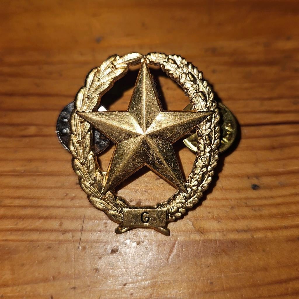 Schuttersembleem Geweer, Ophalen of Verzenden, Landmacht, Nederland, Embleem of Badge