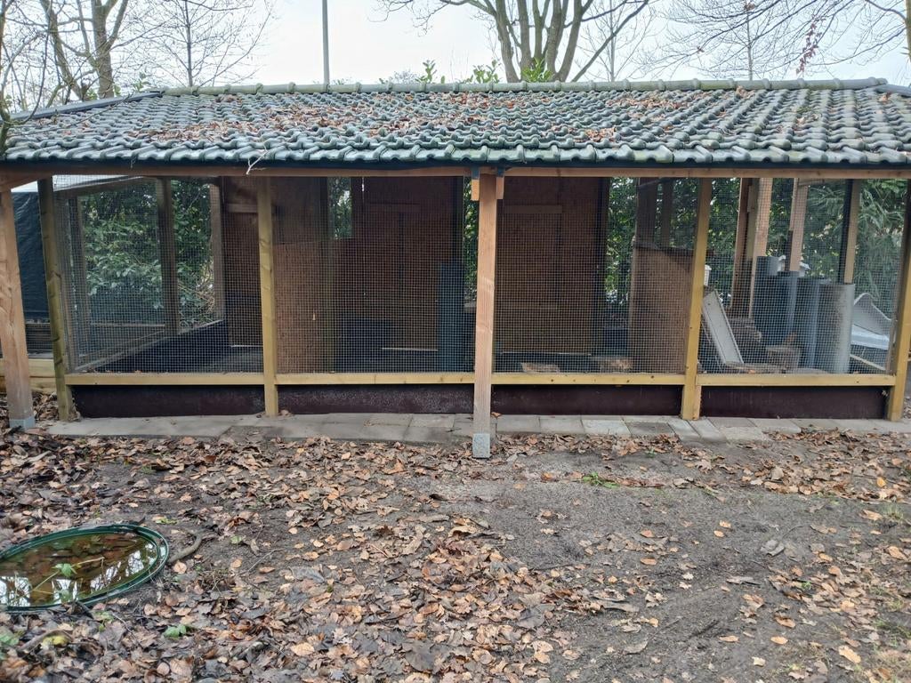 Konijnen en cavia opvang, Diensten en Vakmensen, Dieren | Overige | Verzorging, Oppas en Les, Oppas