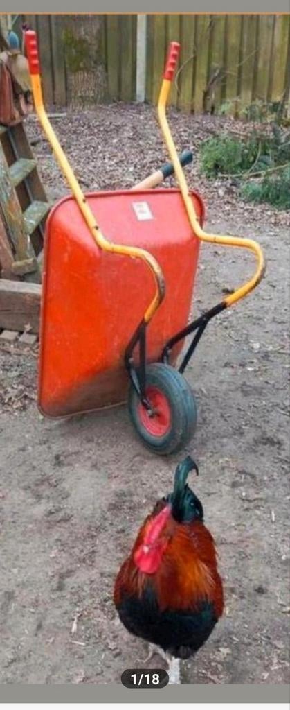 Vintage Ravendo Kruiwagen - Uitstekende Staat, Ophalen, Ravendo, Tweewielig, Zo goed als nieuw