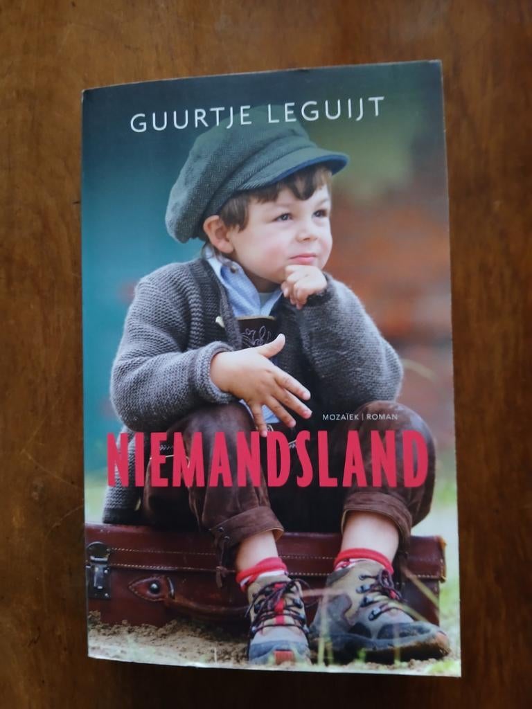 WD015. Guurtje Leguijt - Niemandsland, Boeken, Literatuur, Zo goed als nieuw, Ophalen of Verzenden