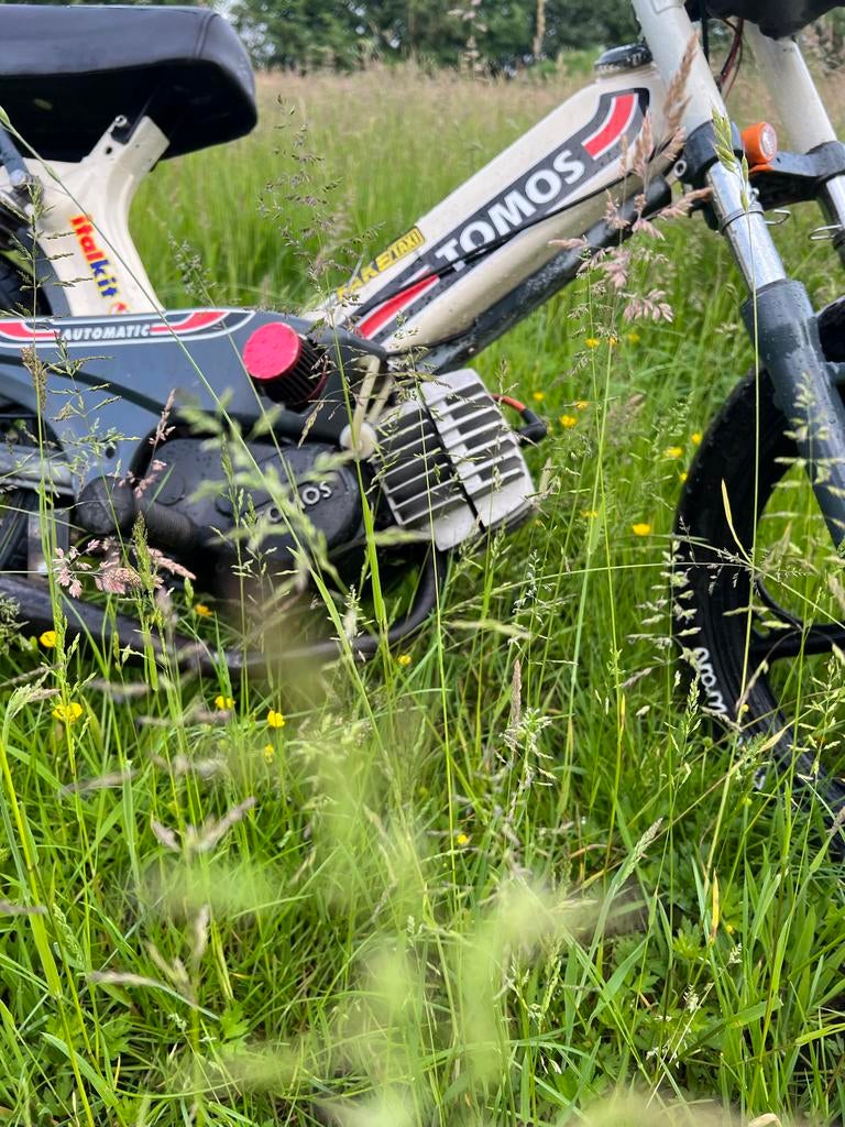 Tomos/Puch gezocht loop of sloop, Ophalen of Verzenden, Gebruikt, Maximaal 45 km/u, Standard