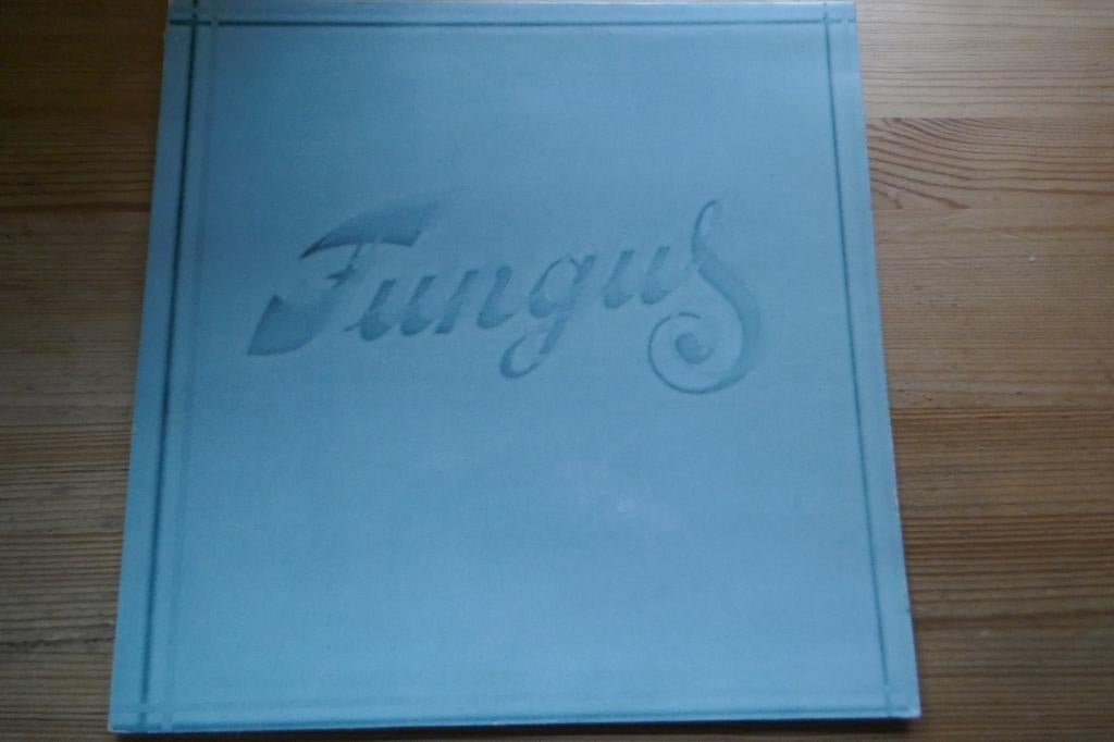 LP:  Fungus – Fungus, Cd's en Dvd's, Vinyl | Nederlandstalig, Gebruikt, Levenslied of Smartlap, 12 inch, Ophalen of Verzenden