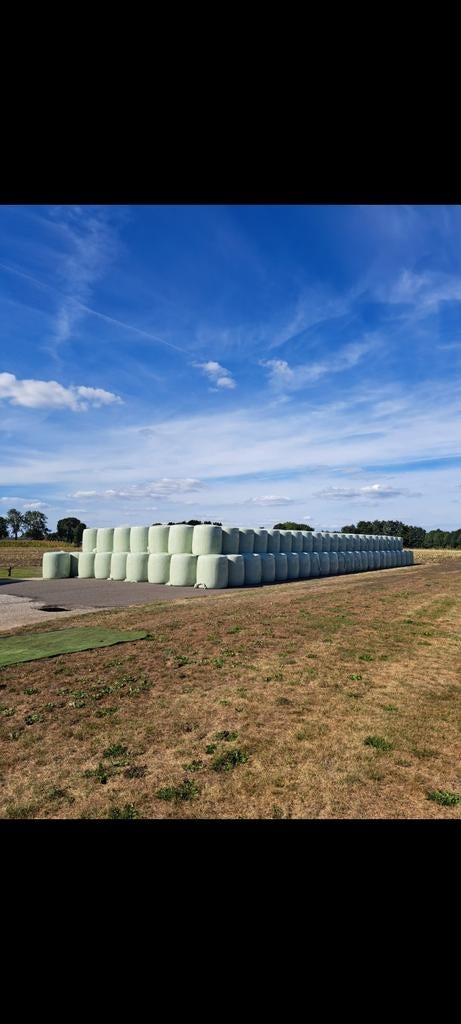Maisbalen te koop persen van maisbalen en mengbalen maisbaal, Zakelijke goederen, Agrarisch | Aardappelen, Groenten, Fruit en Vlees