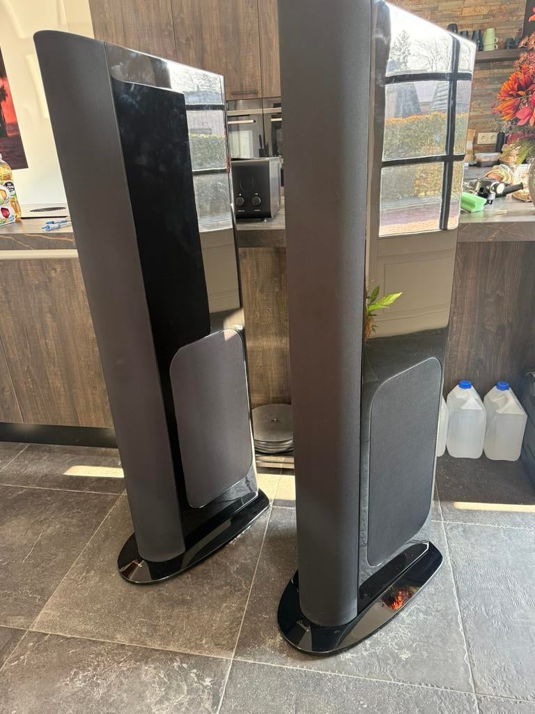 Goldenear triton reference Luidsprekers in nieuwstaat., Zo goed als nieuw, 120 watt of meer, Front, Rear of Stereo speakers, Ophalen