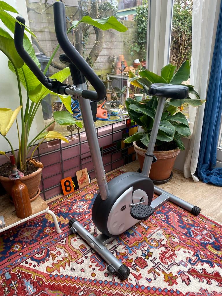 Hometrainer, Sport en Fitness, Fitnessapparatuur, Ophalen, Gebruikt, Metaal, Benen