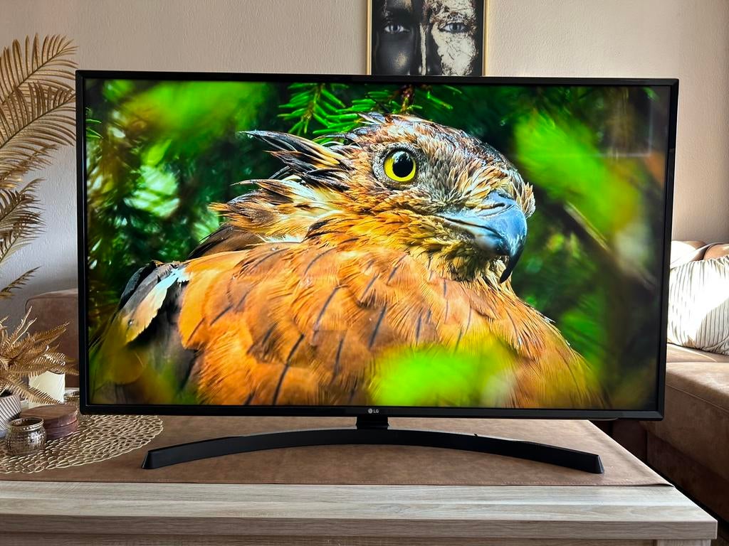 LG Smart TV 49 inch 4K, Ophalen, Zo goed als nieuw, 100 cm of meer, 4k (UHD)