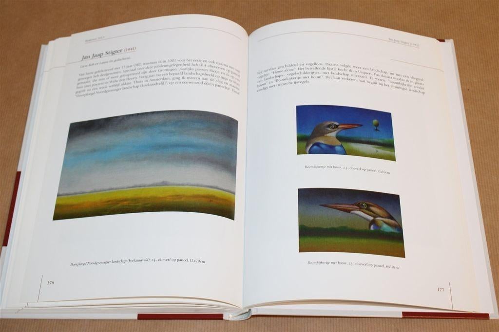 Realisten 2013 — Cat. Museum Møhlmann — Rijk geïllustreerd, Ophalen of Verzenden, Zo goed als nieuw