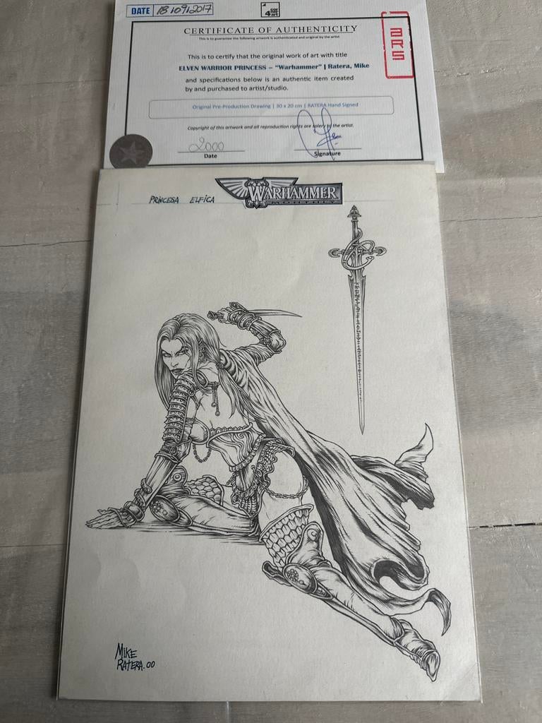 Warhammer: Elven Warrior Princess - Originele Tekening, Boeken, Eén comic, Ophalen of Verzenden, Nieuw, Overige gebieden