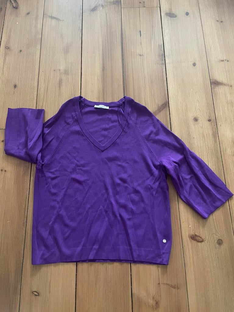 Leuke pasrse trui Studio Anneloes, L, Verzenden, Zo goed als nieuw, Maat 42/44 (L), Paars