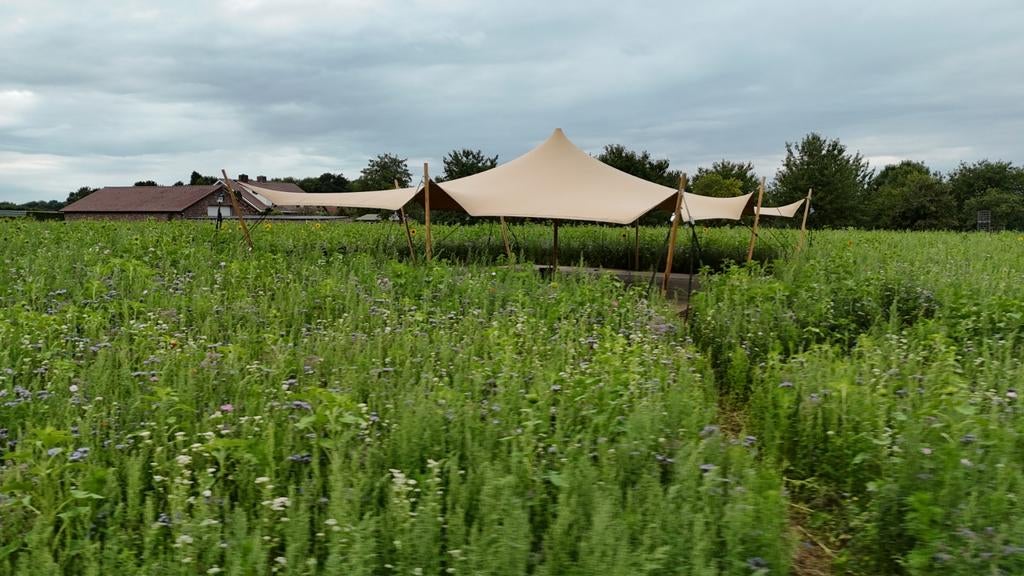 Stretchtent 10x12 te huur, Ophalen, Zo goed als nieuw, Overige