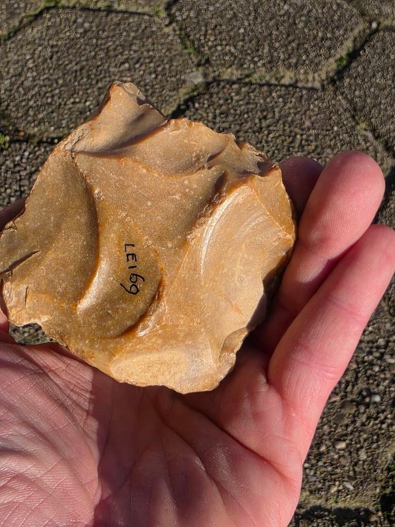 Schaaf kernstuk bijl, Ophalen of Verzenden