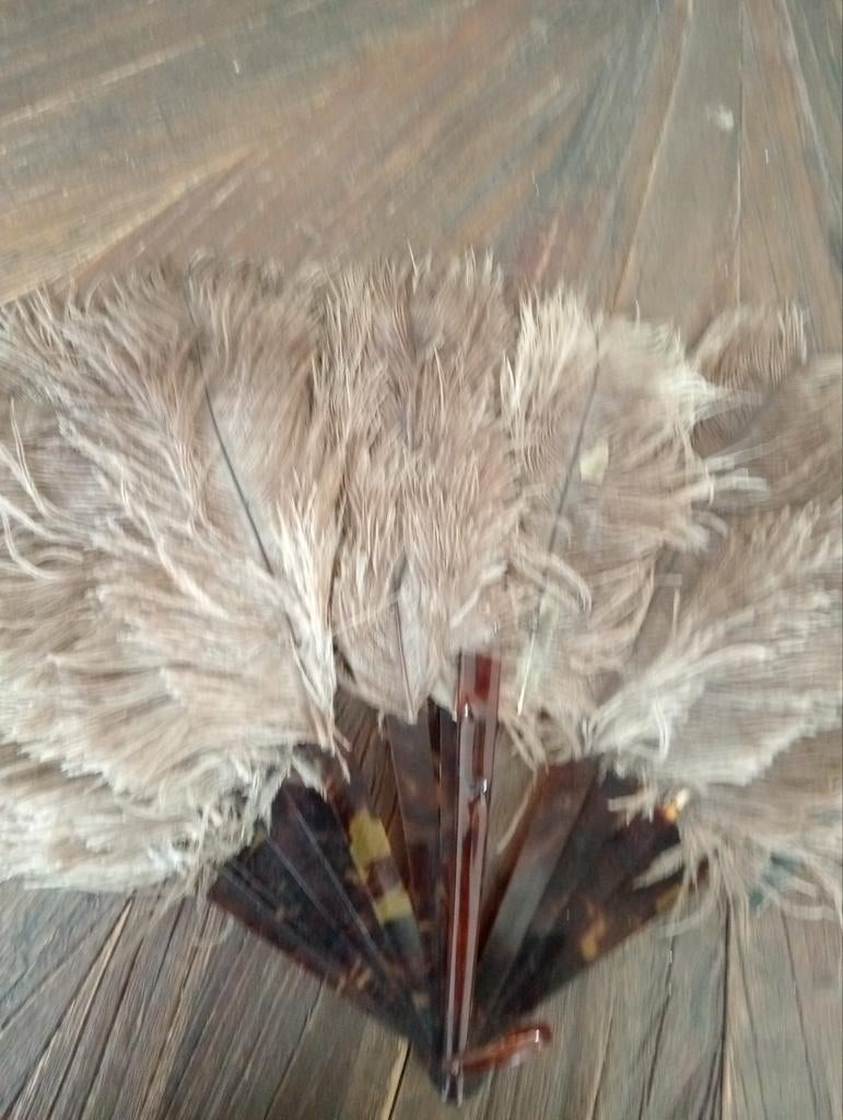 Antieke struisvogel waaier met schildpad - van overgrootmoed, Antiek en Kunst, Antiek | Overige Antiek, Ophalen of Verzenden