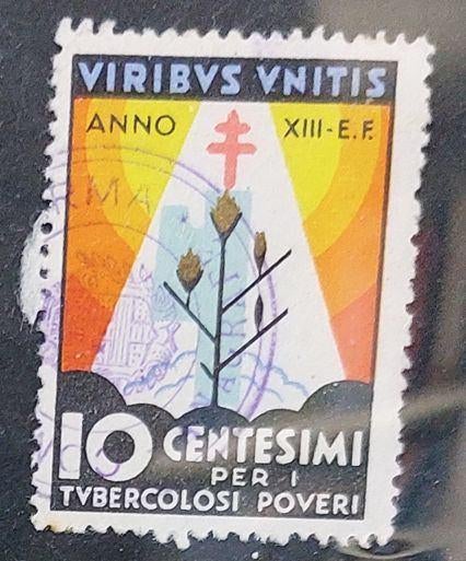 Italië cinderella TBC bestrijding 1935, Postzegels en Munten, Ophalen of Verzenden, Gestempeld