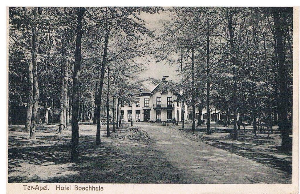 Ter Apel, Hotel Boschhuis, Ophalen of Verzenden, 1920 tot 1940, Gelopen, Groningen