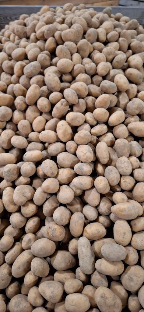 Agria/Mozart Pootaardappelen 28/35 en 35/55 - 50 kg, Ophalen of Verzenden