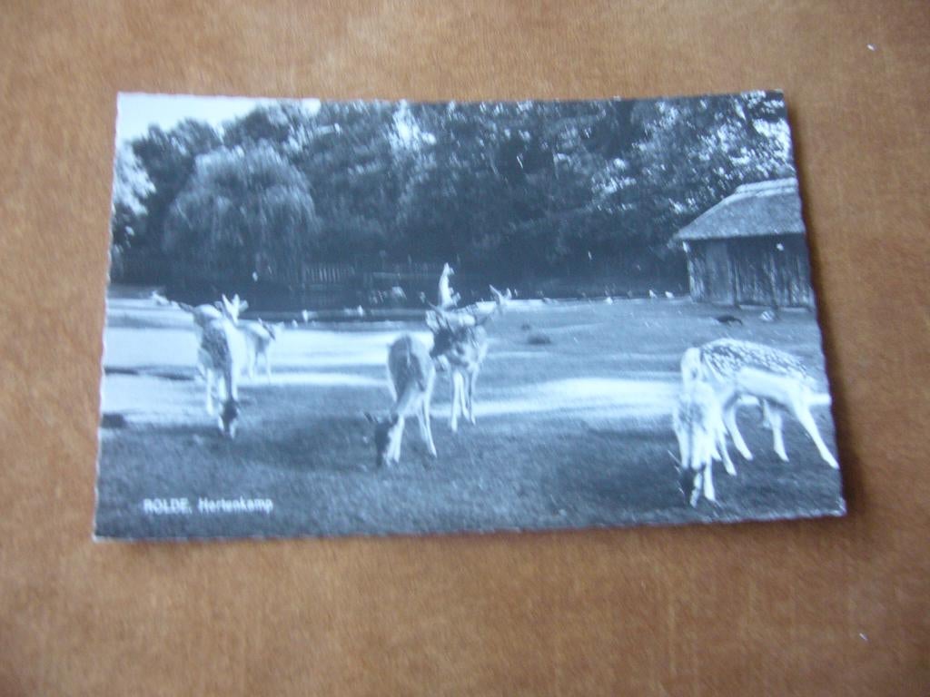 ROLDE  =  HERTENKAMP, Ophalen of Verzenden, 1940 tot 1960, Ongelopen